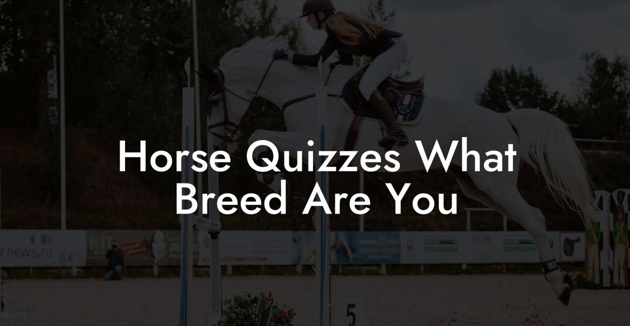 Horse Quizzes What Breed Are You