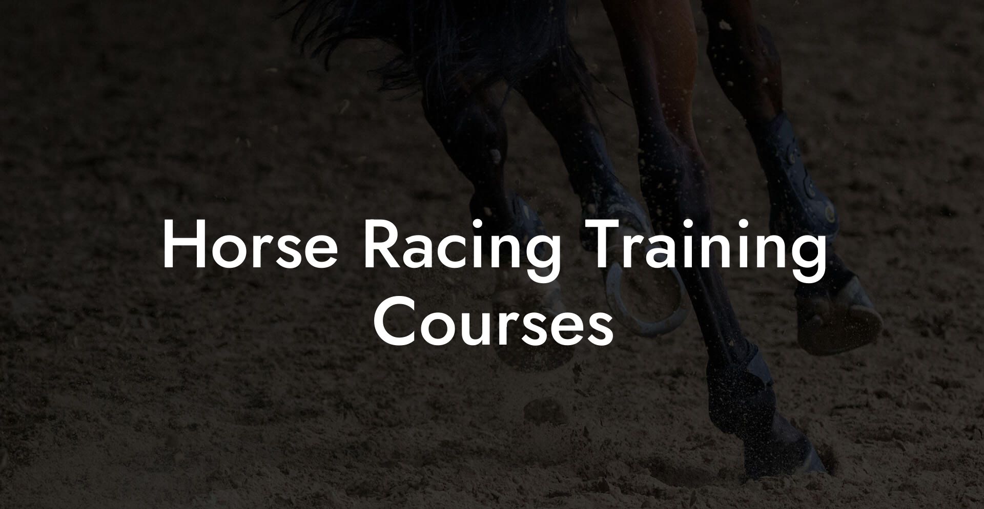 Horse Racing Training Courses