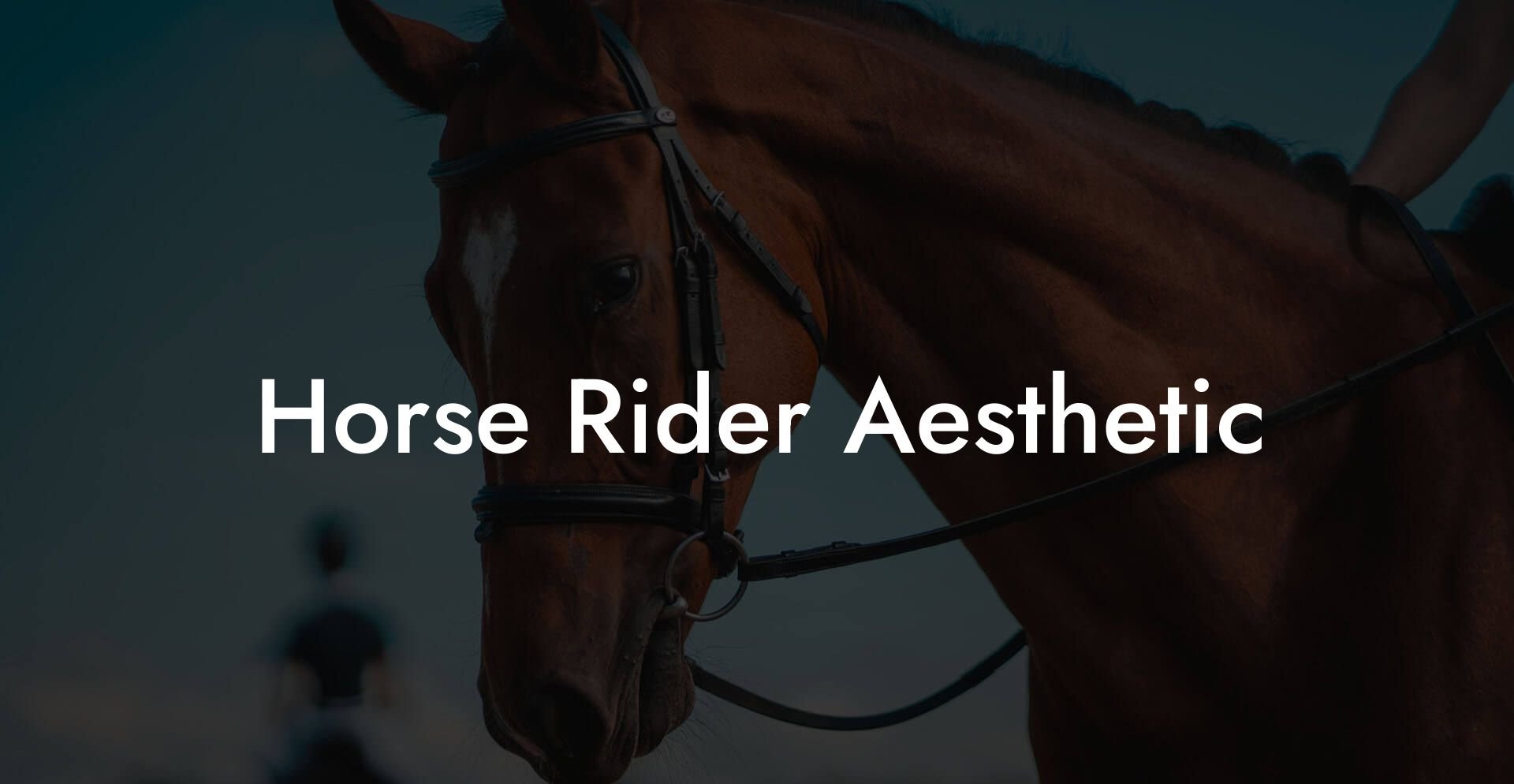 Horse Rider Aesthetic