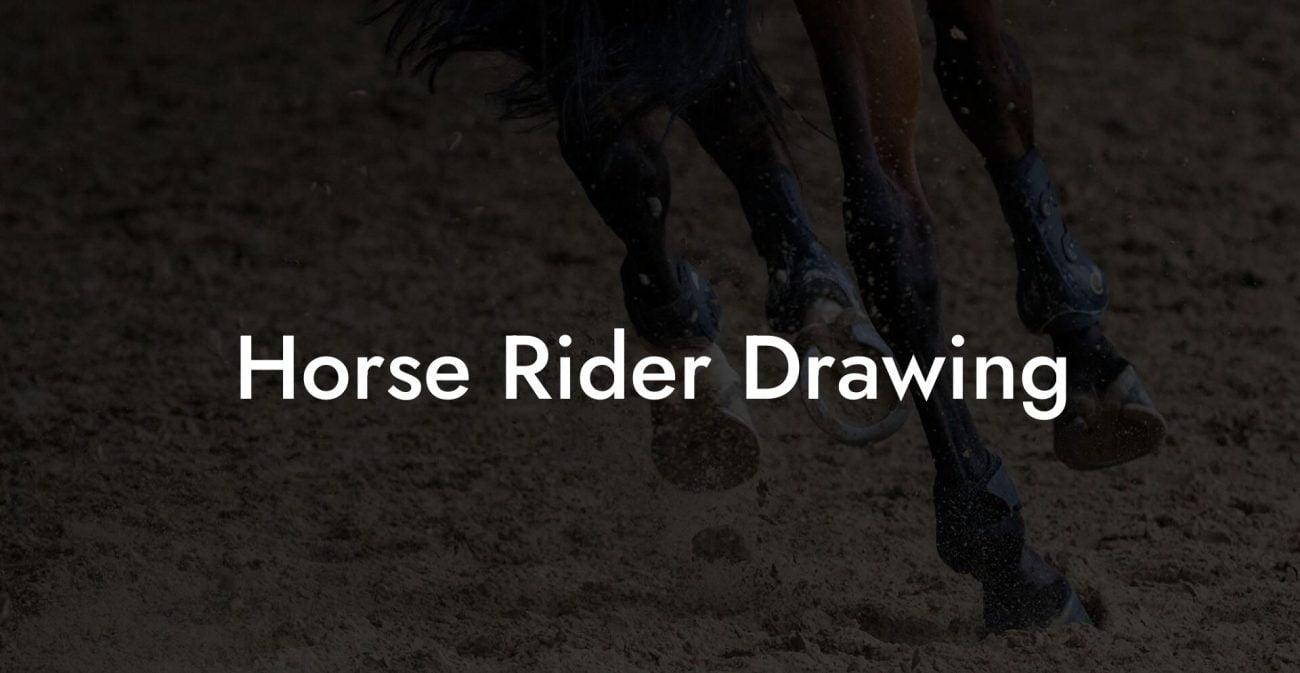 Horse Rider Drawing