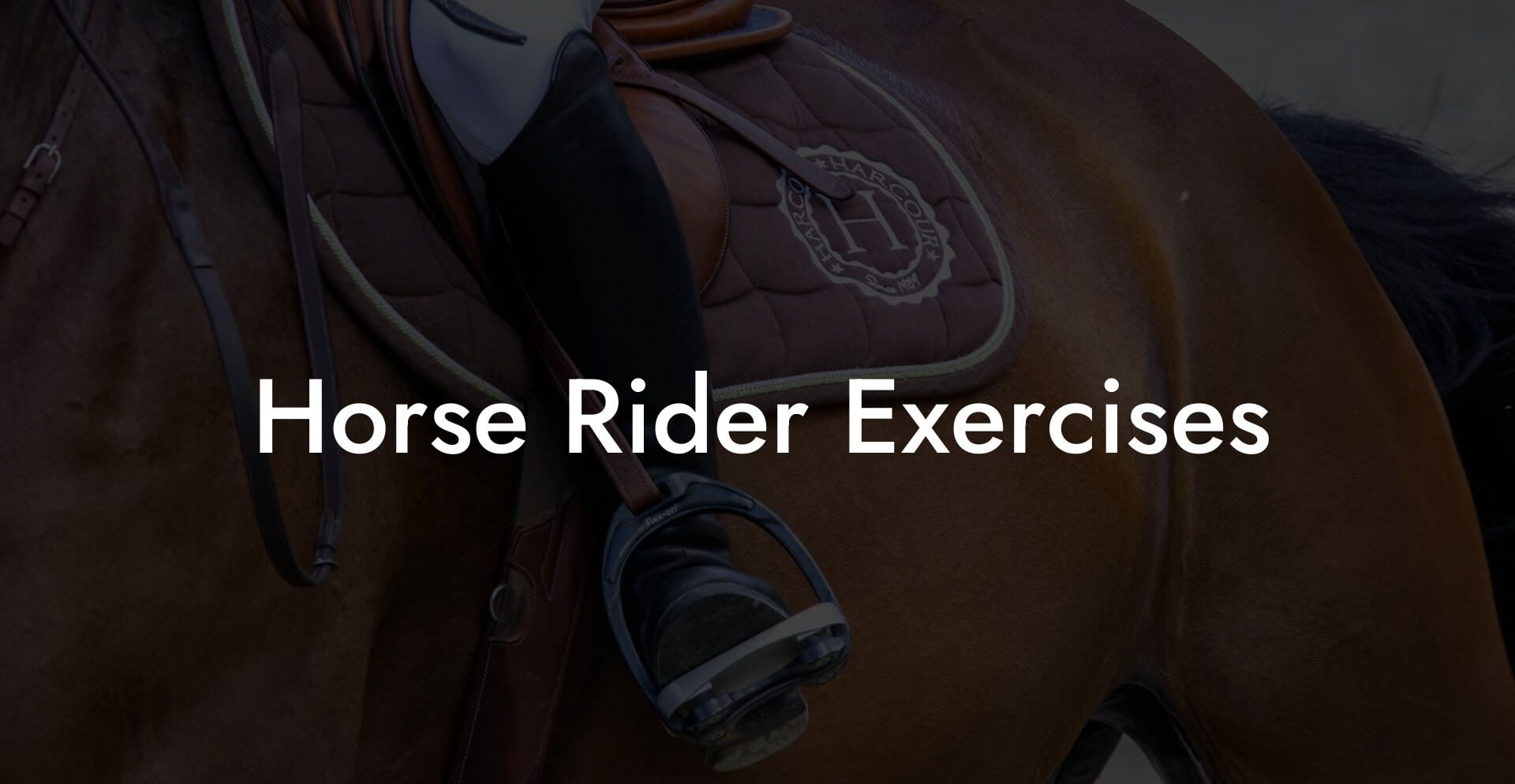 Horse Rider Exercises