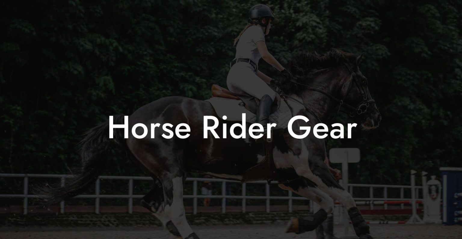 Horse Rider Gear - How To Own a Horse