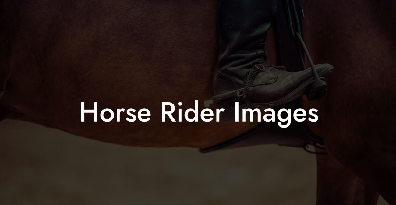 Horse Rider Images