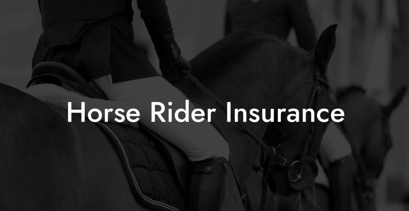 Horse Rider Insurance