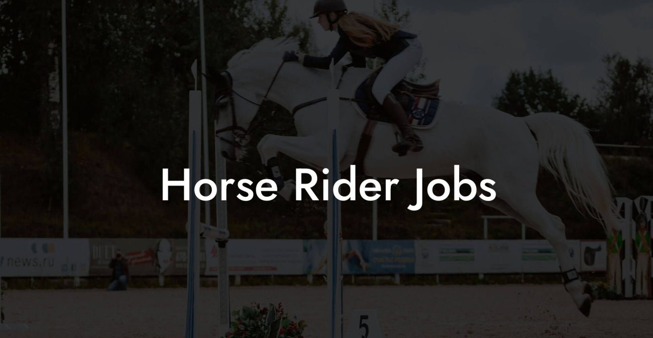 Horse Rider Jobs