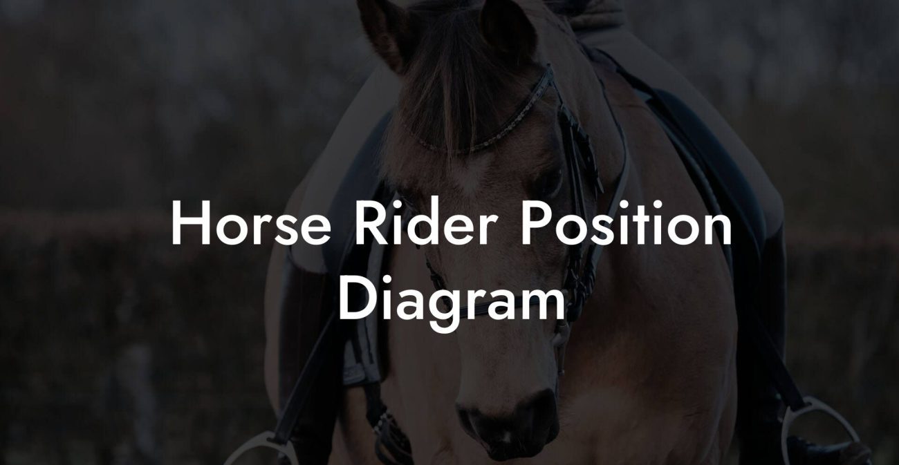 Horse Rider Position Diagram