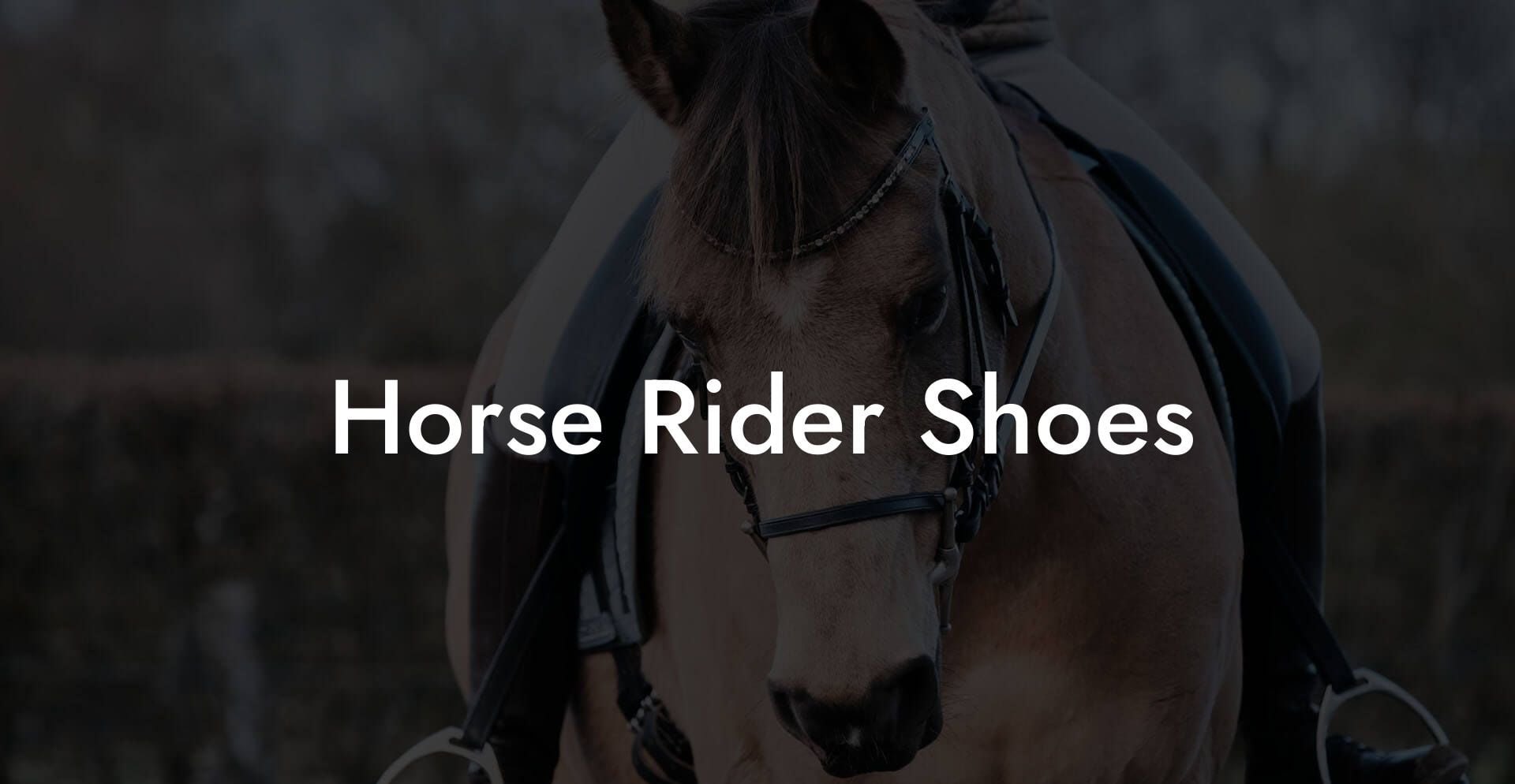 Horse Rider Shoes