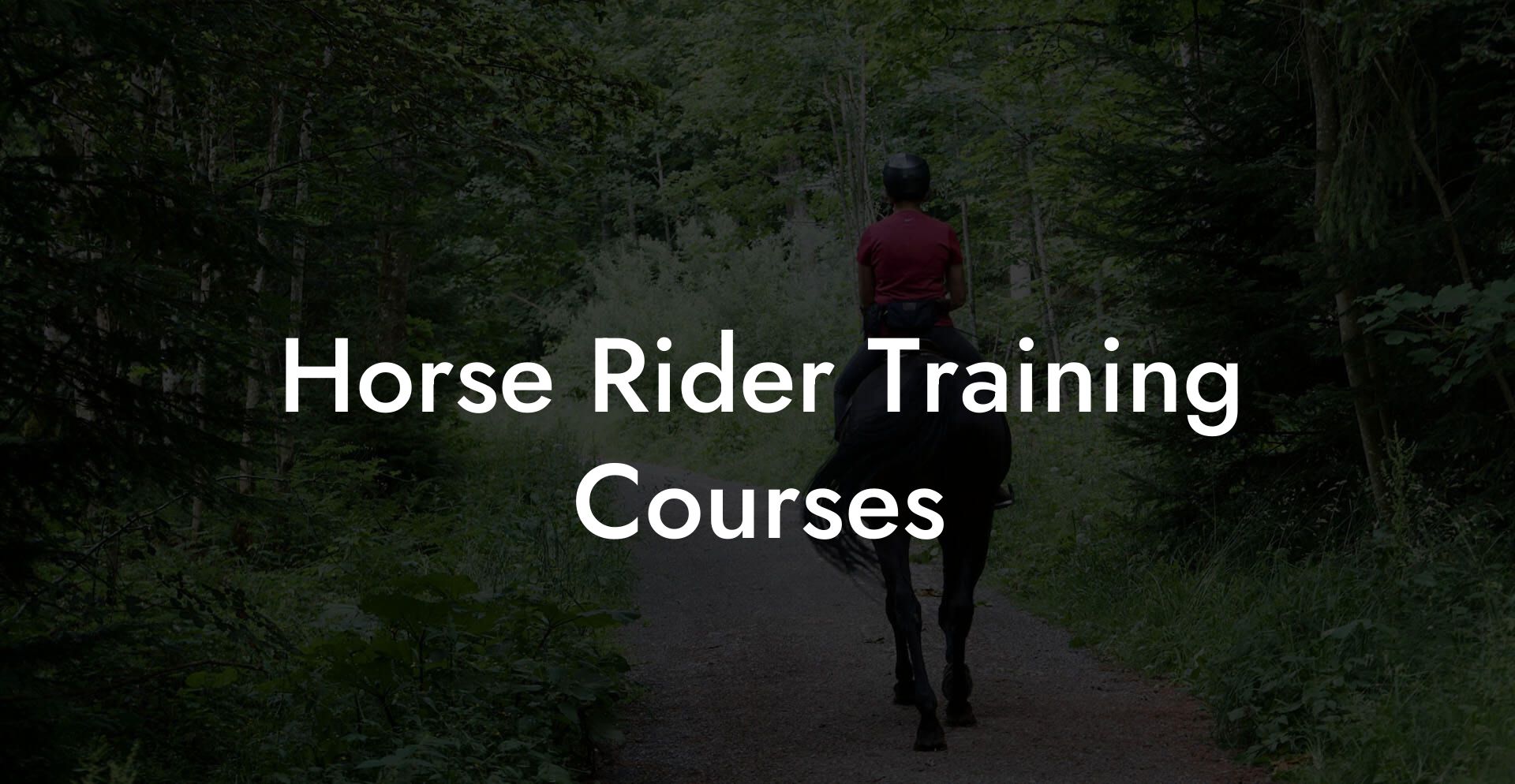 Horse Rider Training Courses