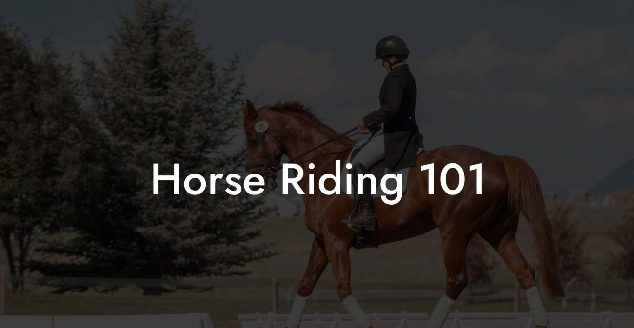 Horse Riding 101