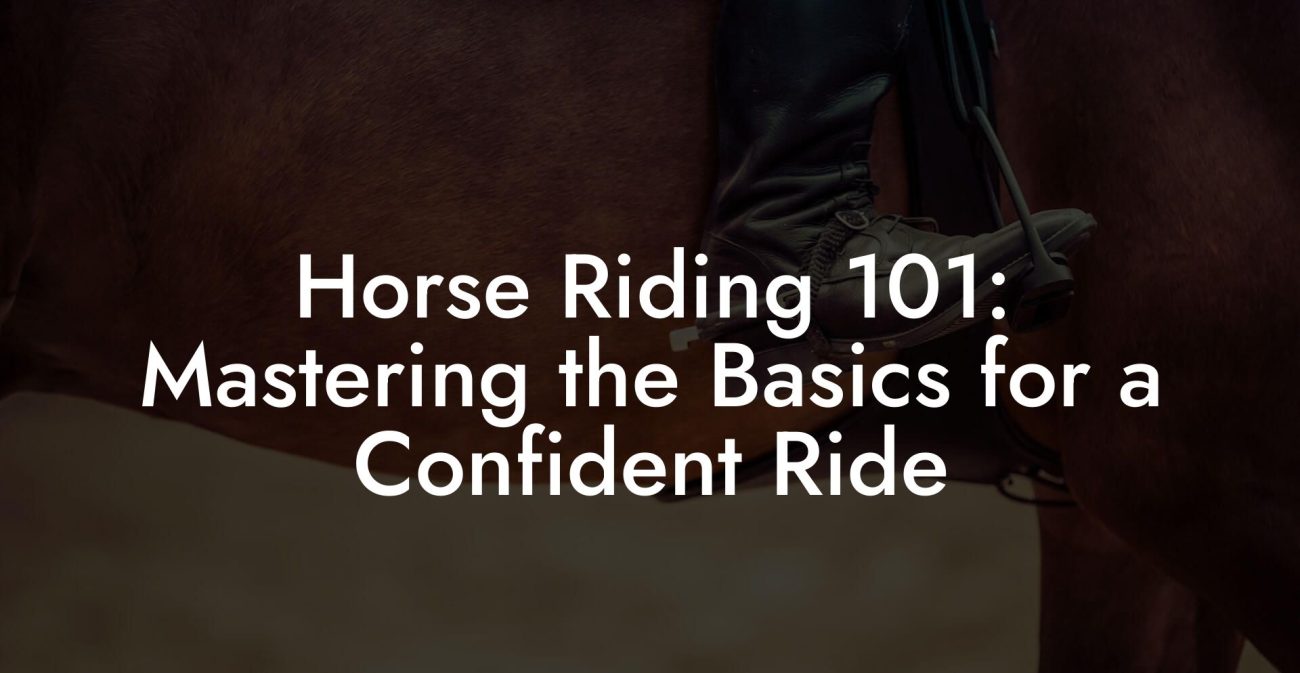 Horse Riding 101: Mastering the Basics for a Confident Ride