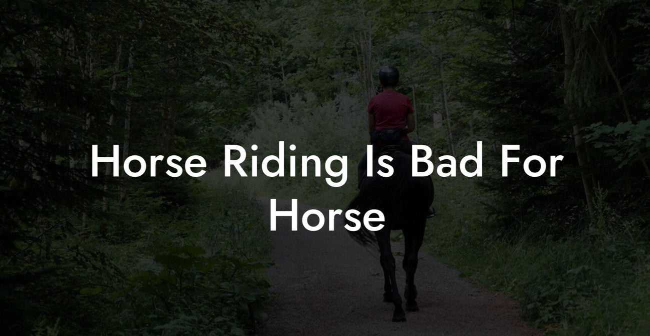 Horse Riding Is Bad For Horse