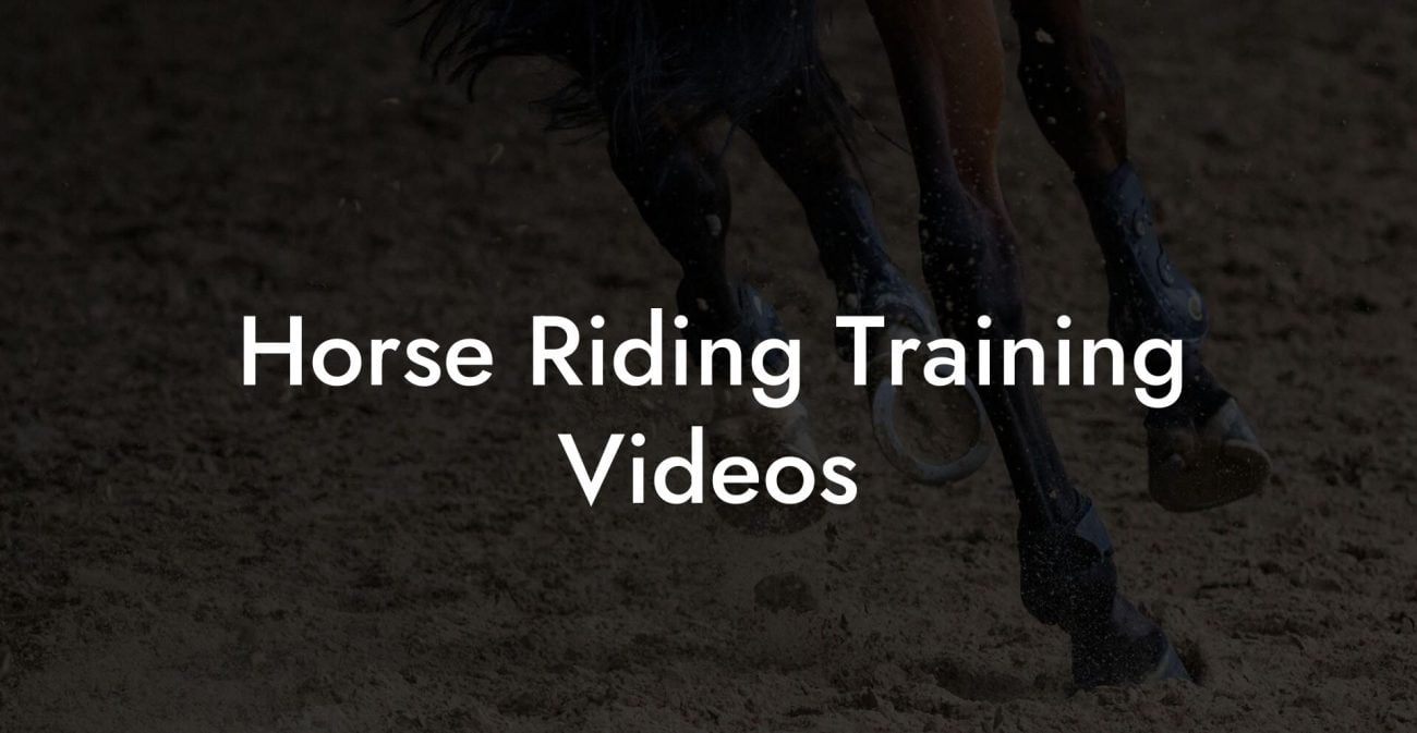 Horse Riding Training Videos