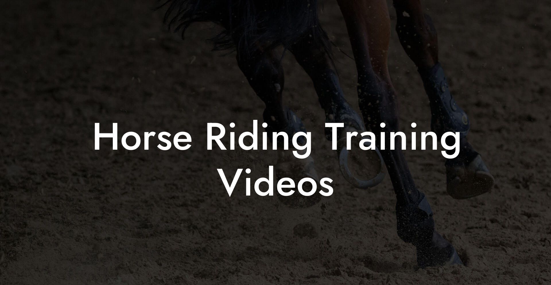 Horse Riding Training Videos