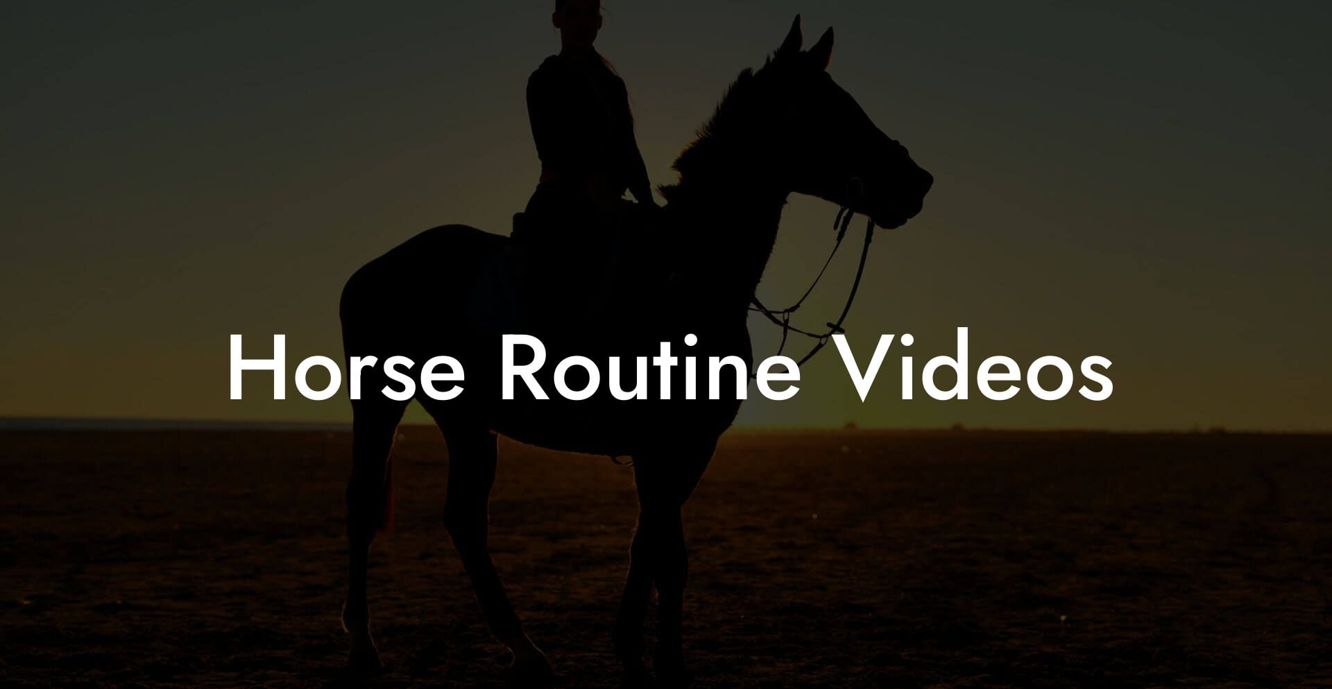Horse Routine Videos