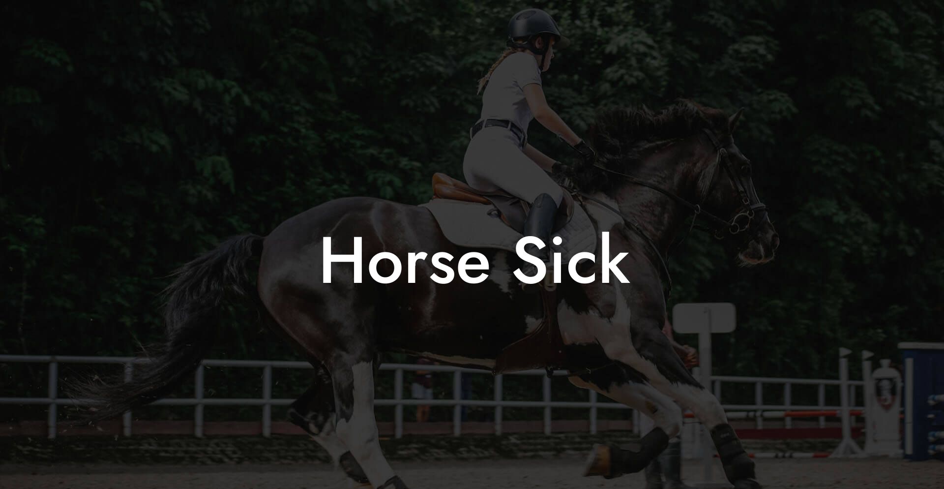 Horse Sick