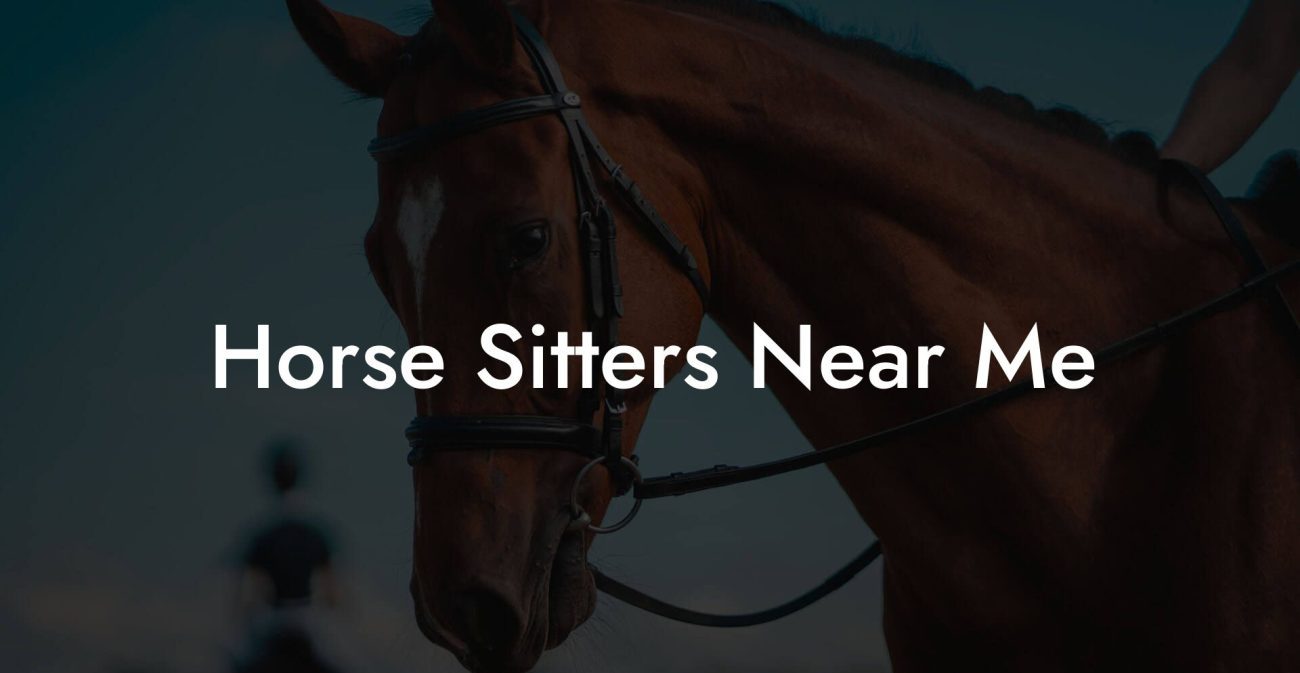 Horse Sitters Near Me