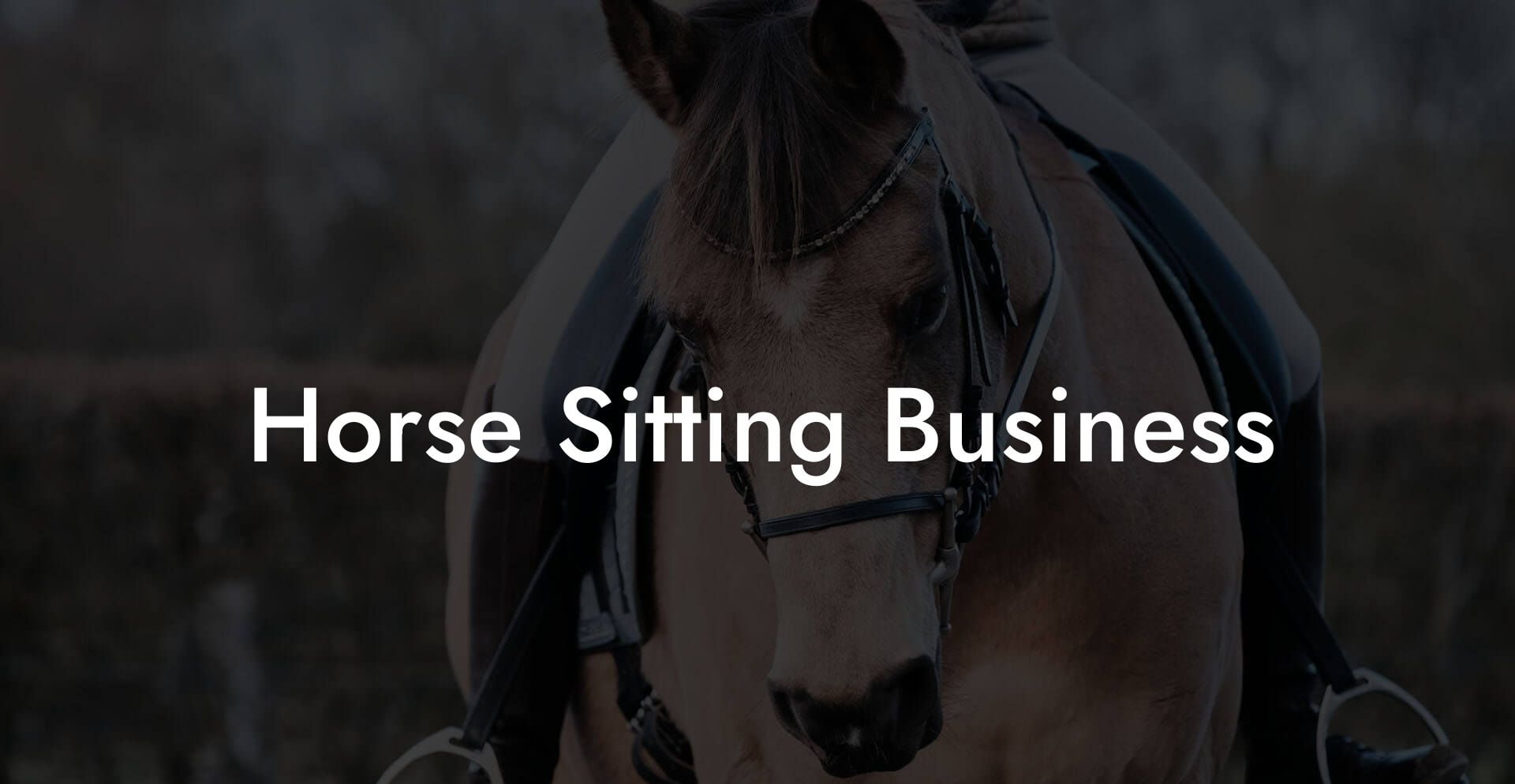 Horse Sitting Business
