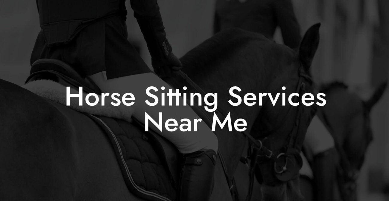 Horse Sitting Services Near Me