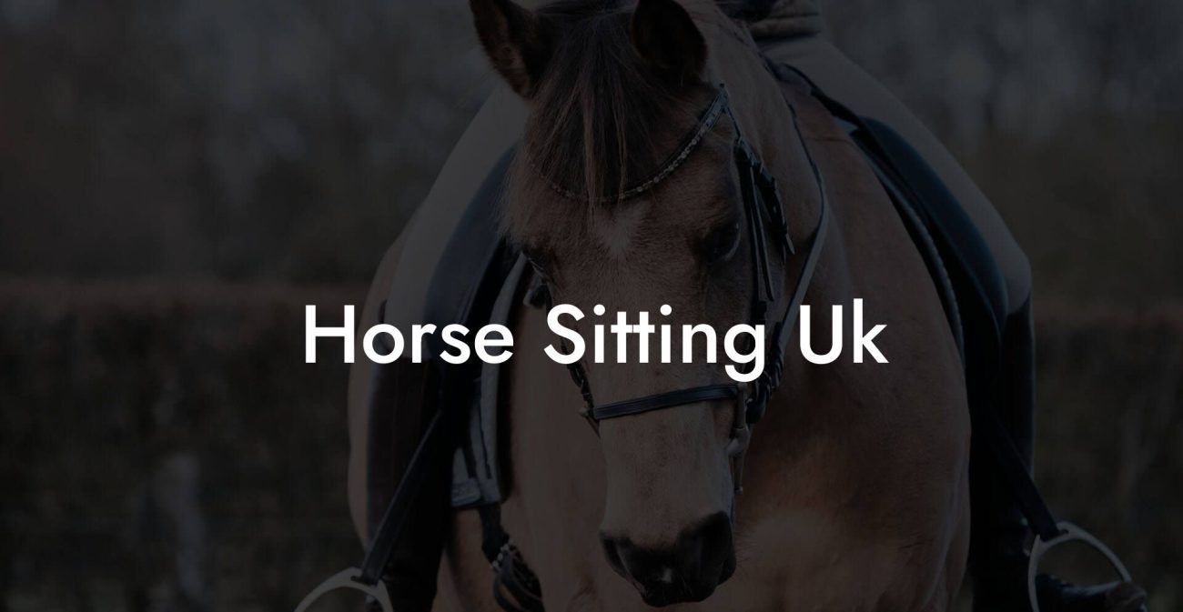 Horse Sitting Uk