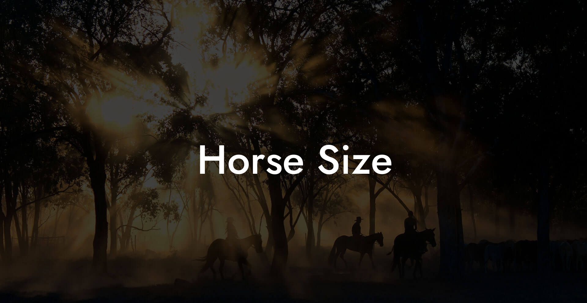 Horse Size