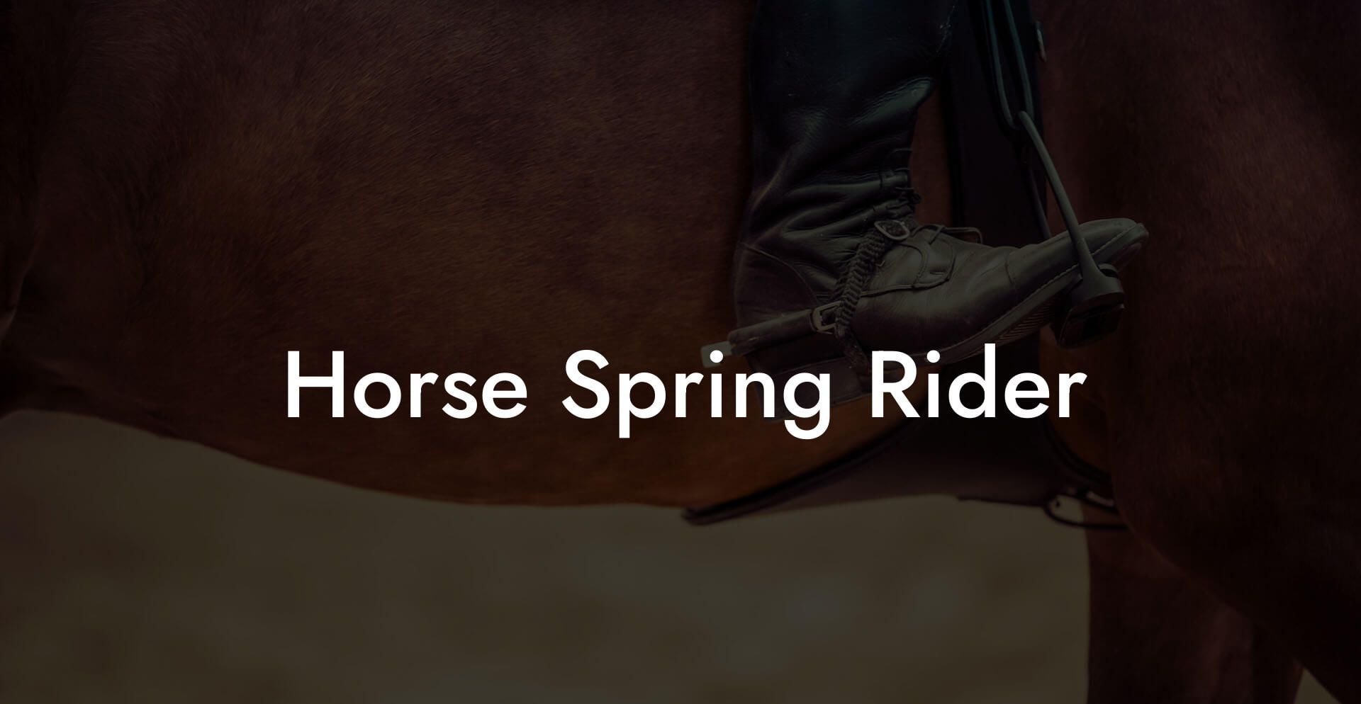 Horse Spring Rider