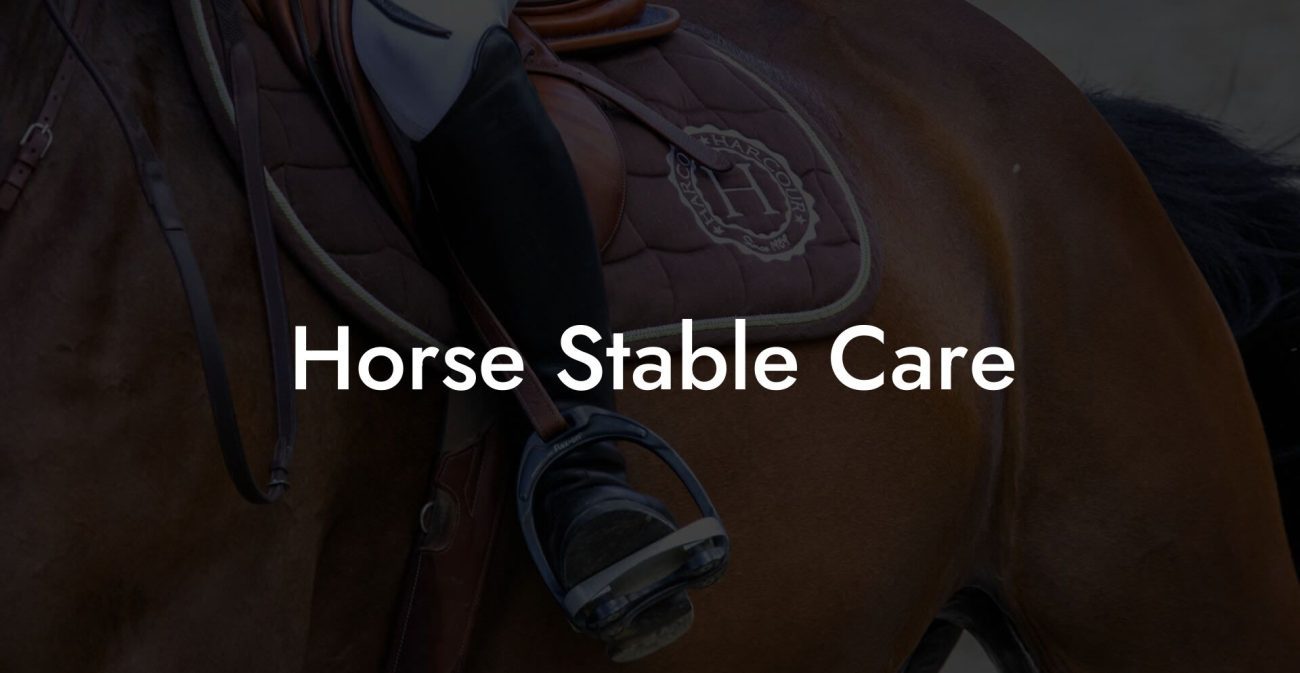 Horse Stable Care