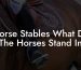 Horse Stables What Do The Horses Stand In