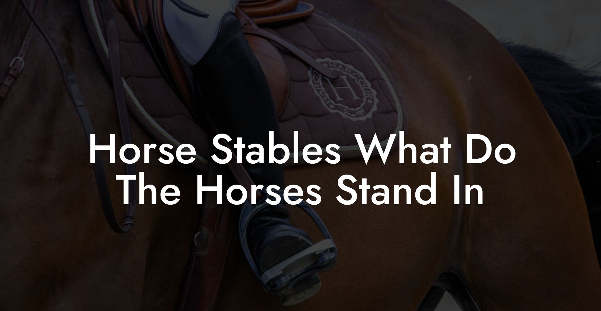 Horse Stables What Do The Horses Stand In
