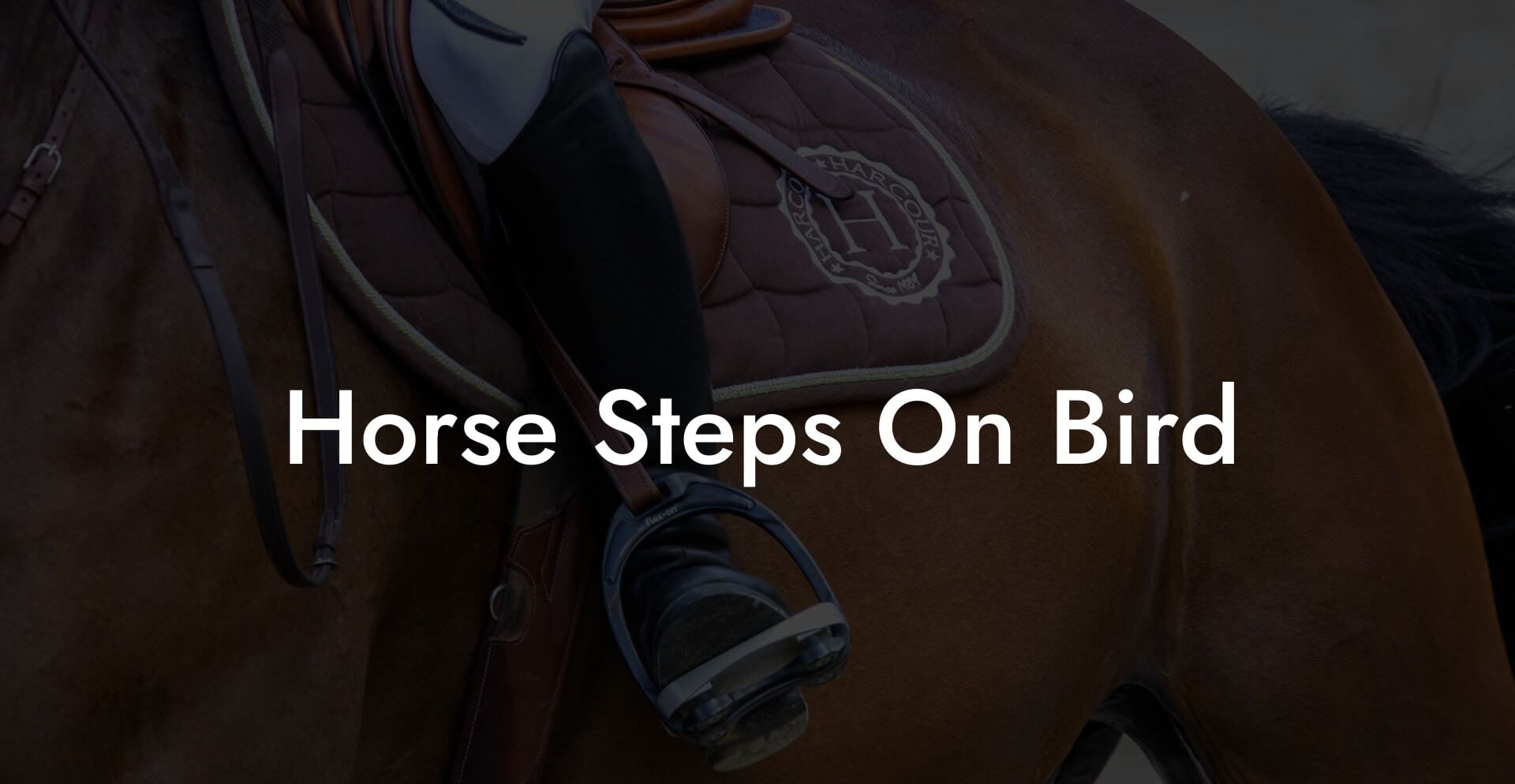 Horse Steps On Bird