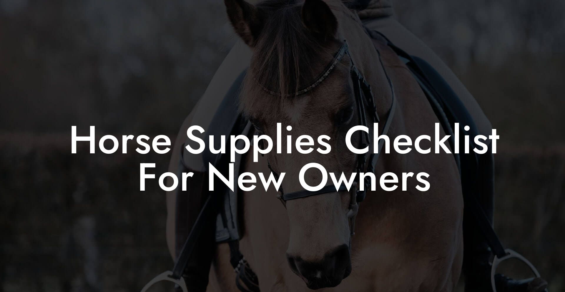 Horse Supplies Checklist For New Owners