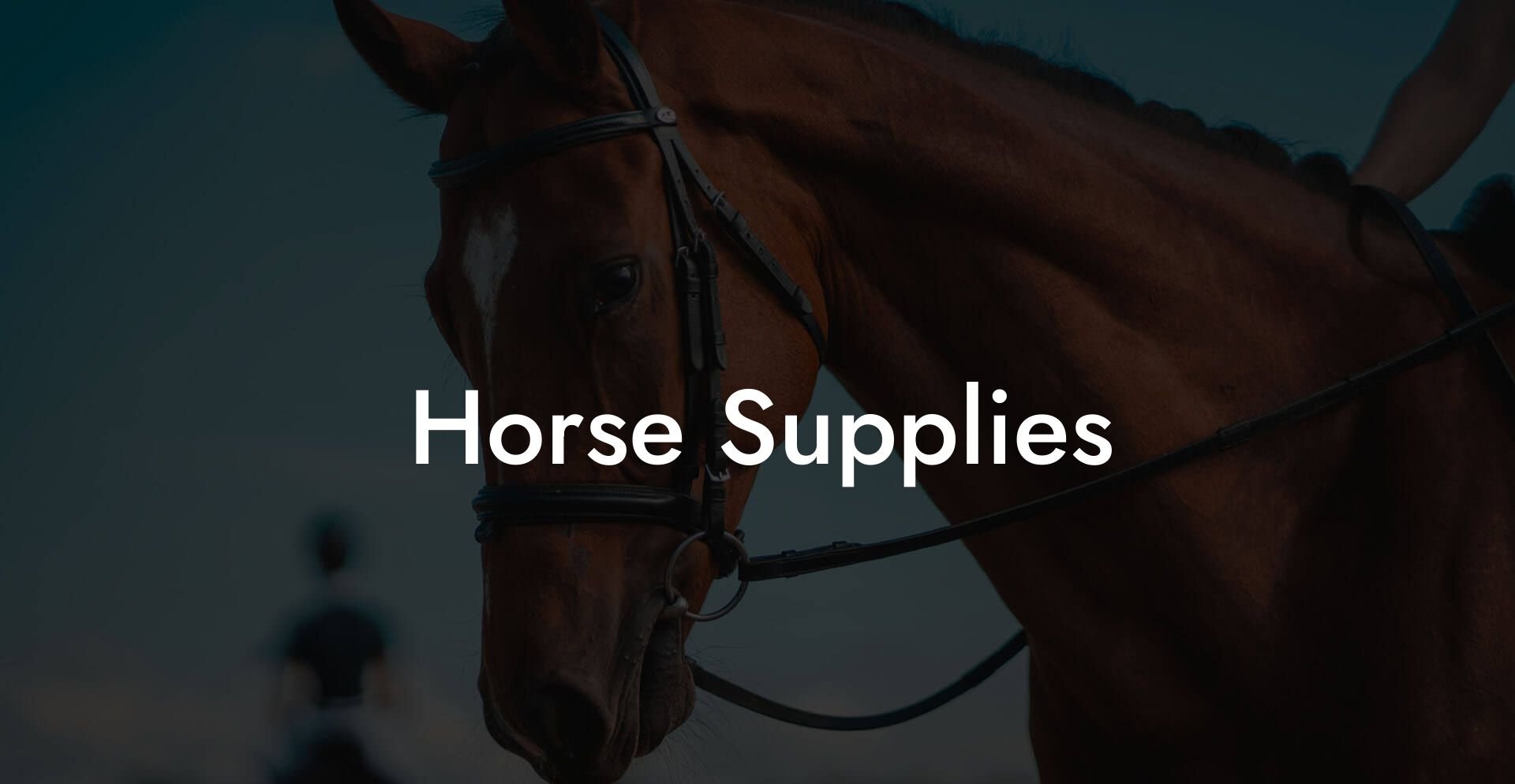 Horse Supplies
