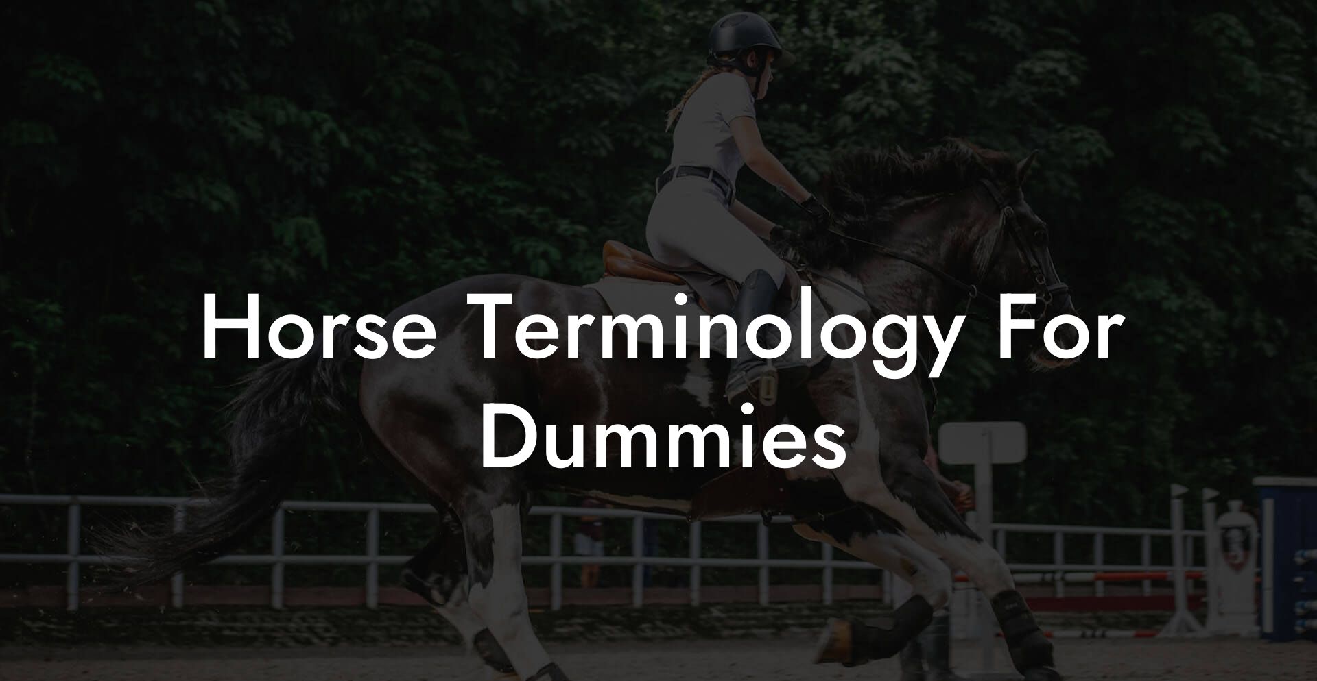 Horse Terminology For Dummies