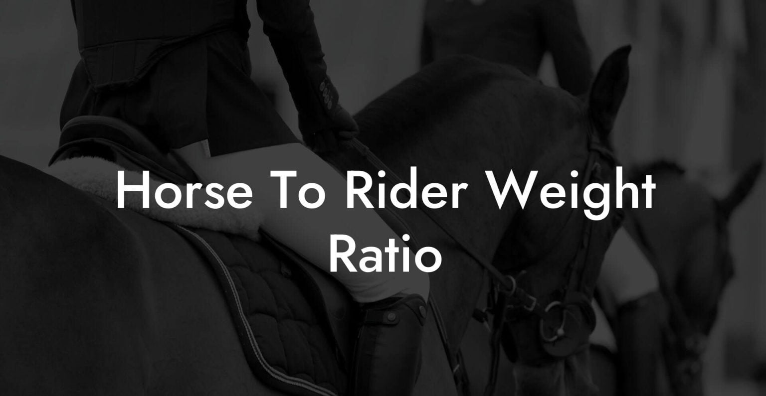 Horse To Rider Weight Ratio How To Own a Horse