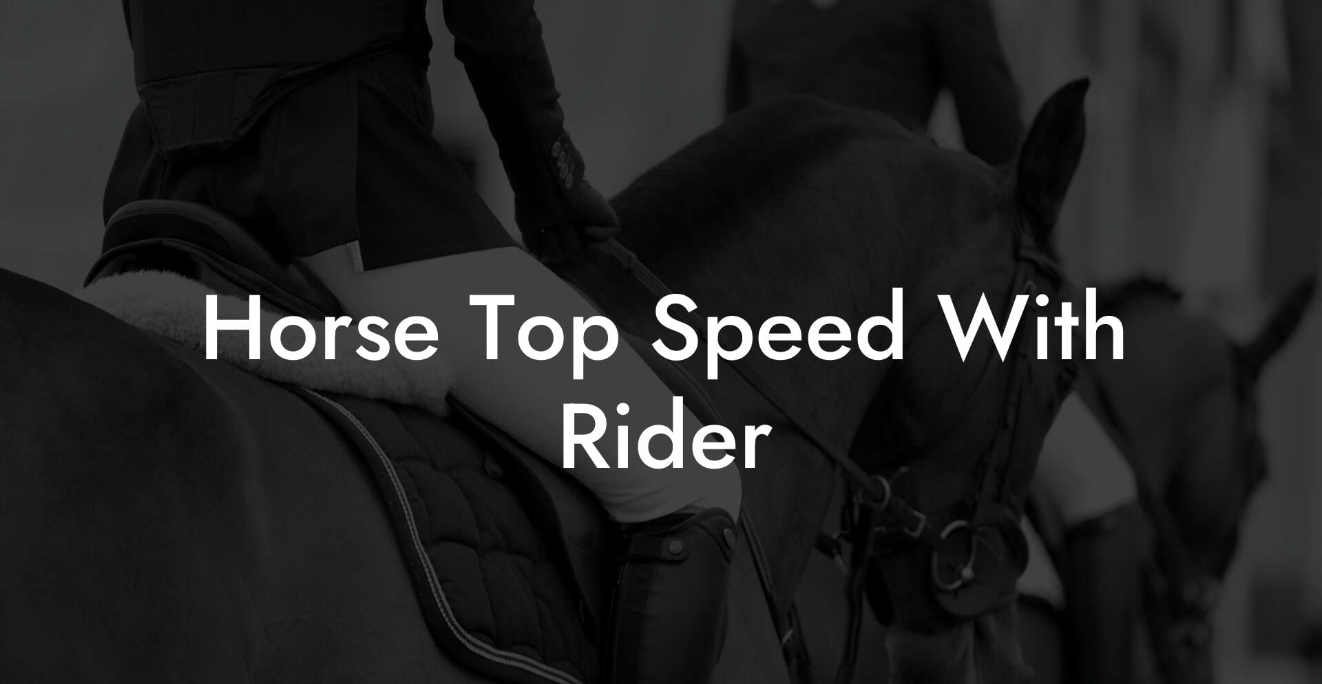 Horse Top Speed With Rider