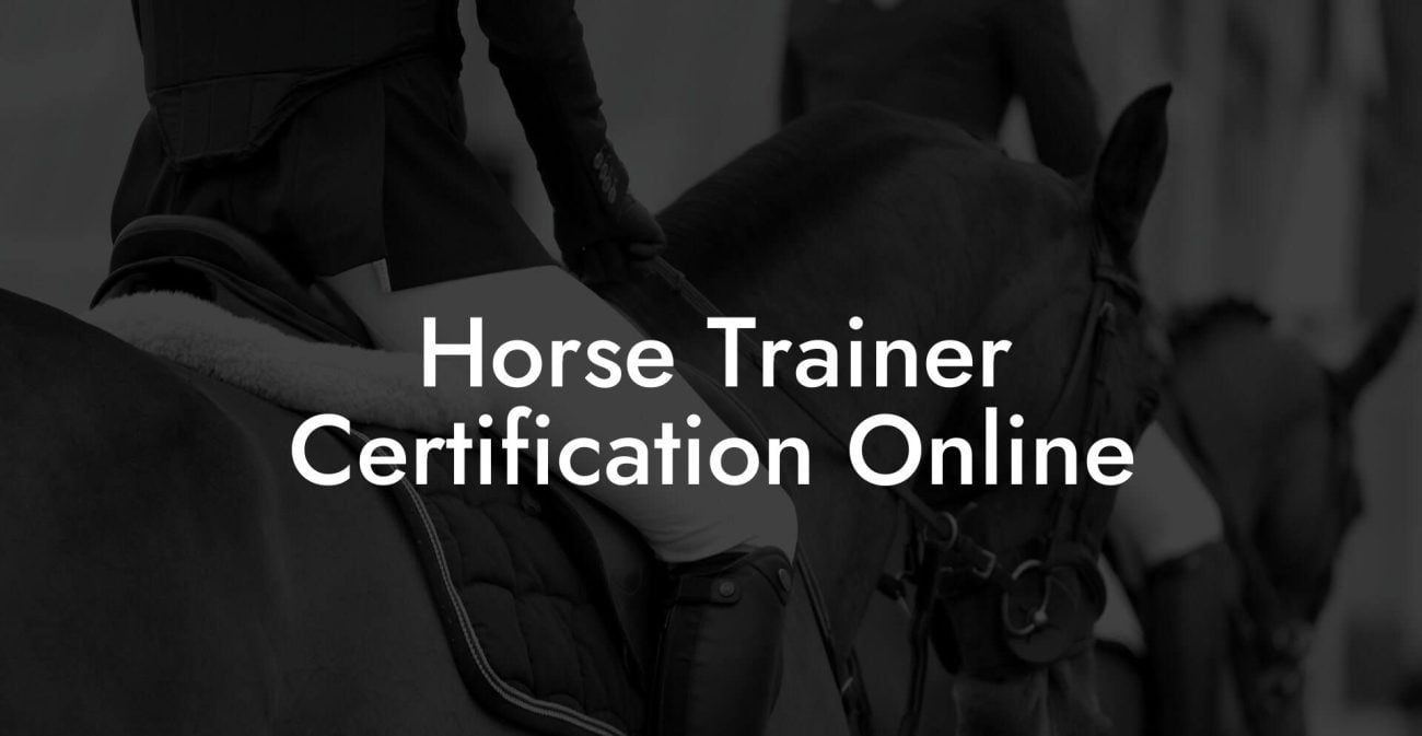 Horse Trainer Certification Online