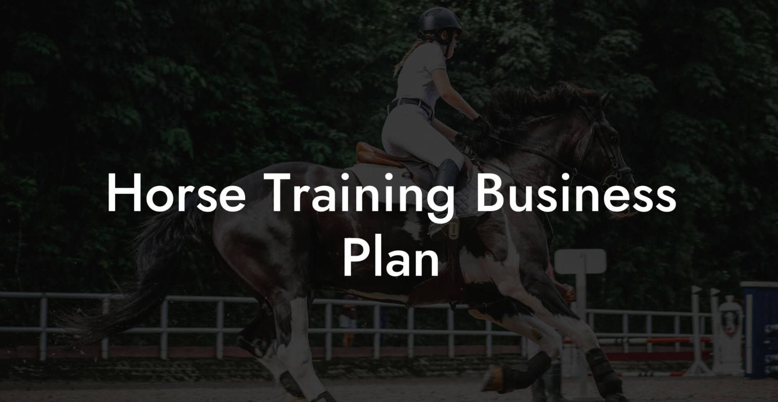 Horse Training Business Plan How To Own a Horse