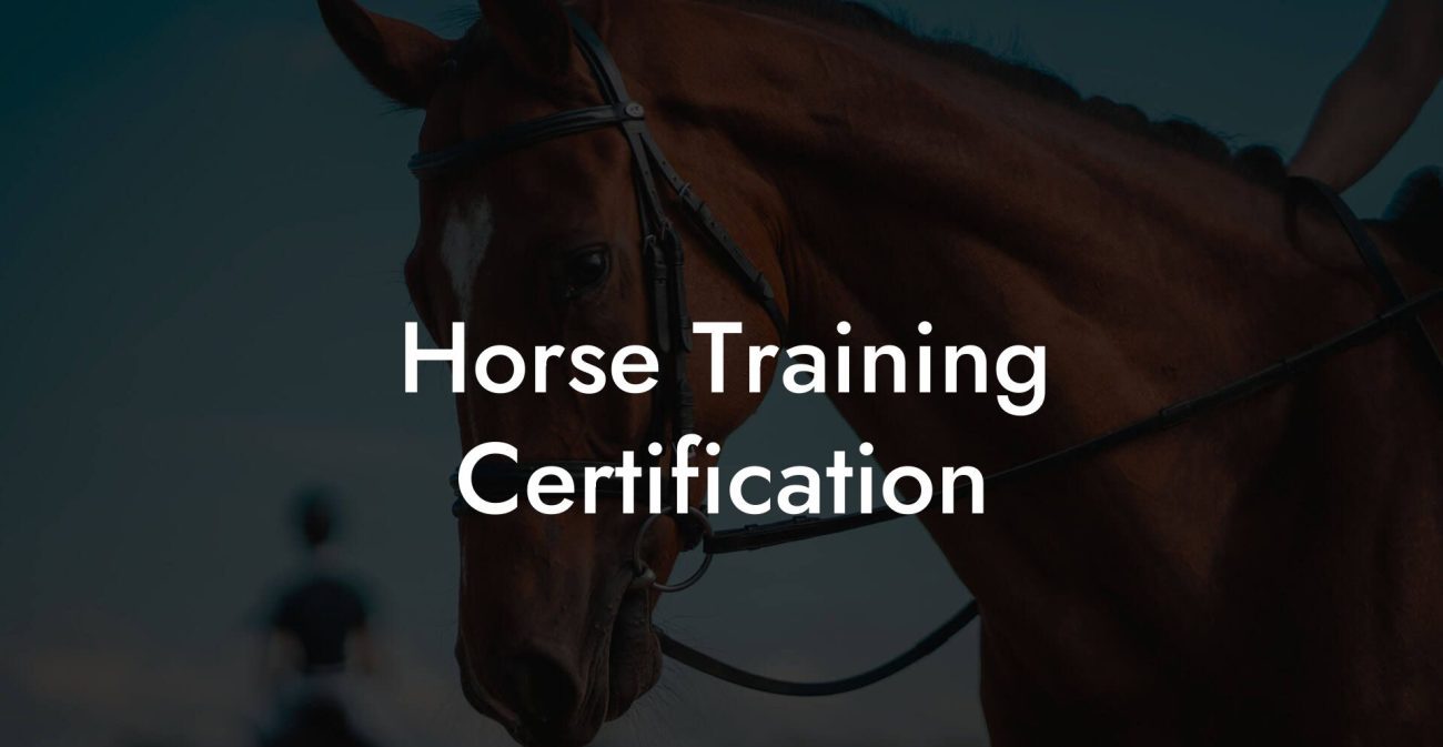 Horse Training Certification