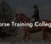 Horse Training Colleges