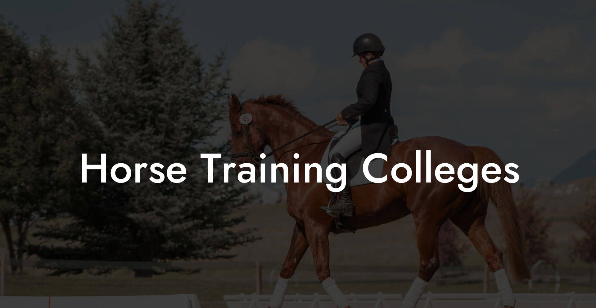 Horse Training Colleges
