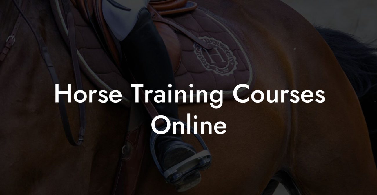 Horse Training Courses Online