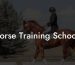 Horse Training Schools