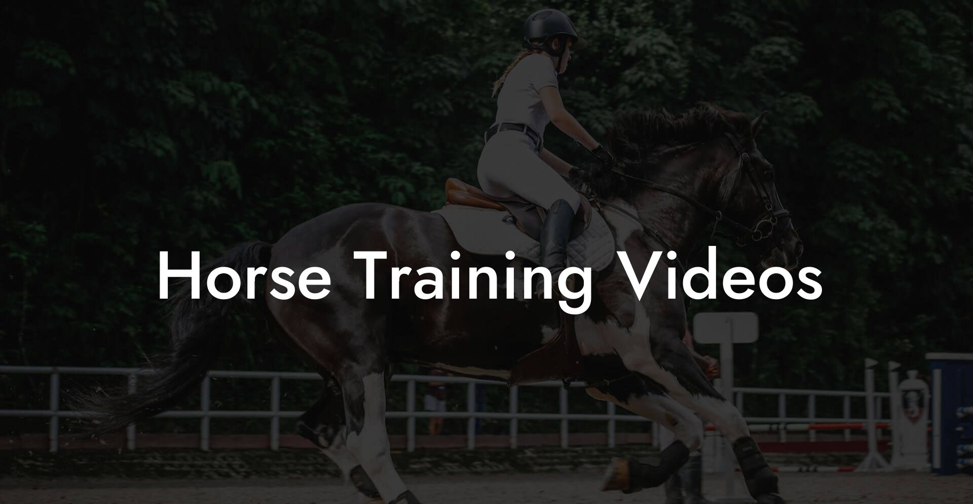 Horse Training Videos