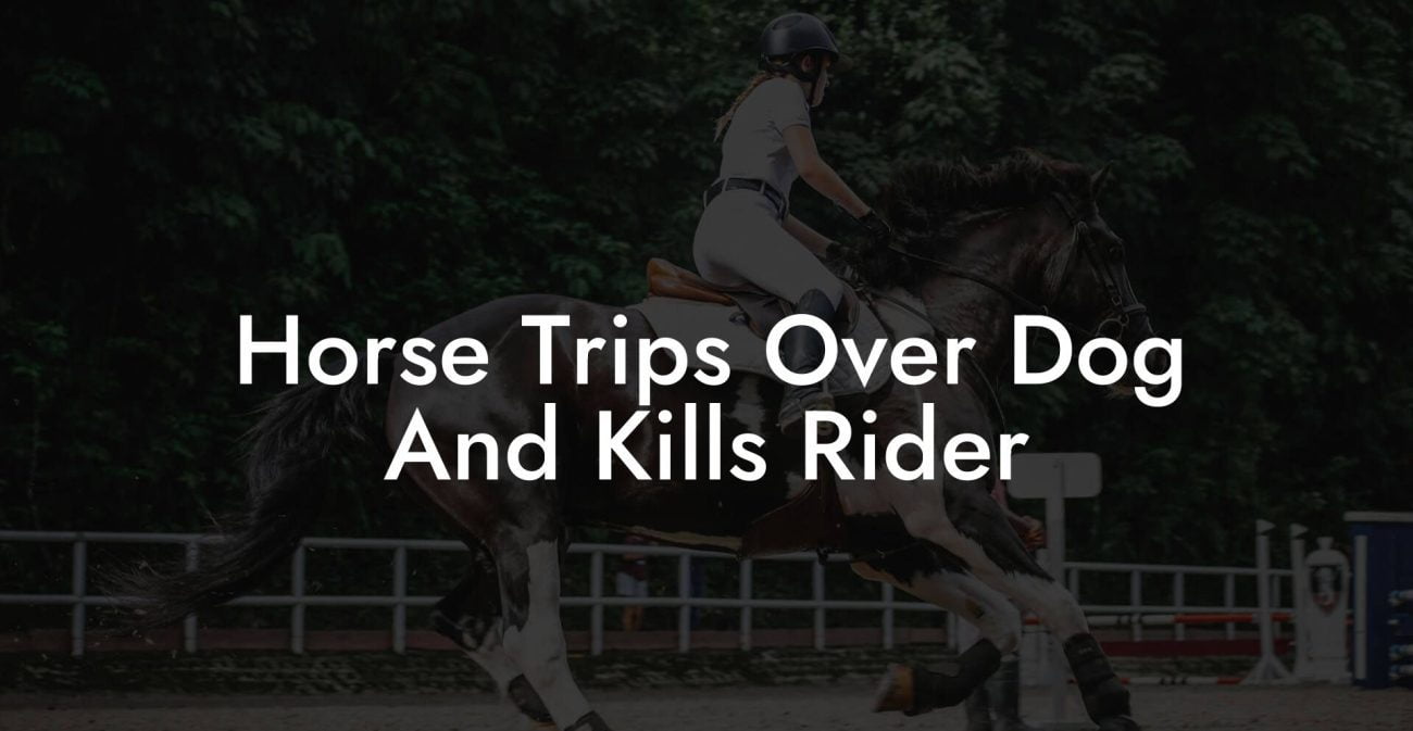 Horse Trips Over Dog And Kills Rider