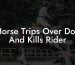 Horse Trips Over Dog And Kills Rider