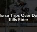 Horse Trips Over Dog Kills Rider