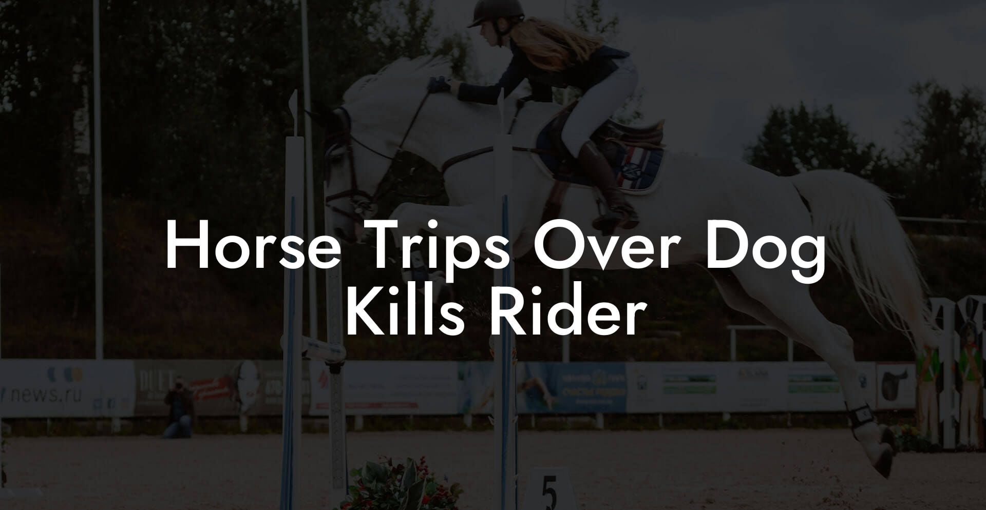 Horse Trips Over Dog Kills Rider