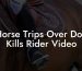 Horse Trips Over Dog Kills Rider Video