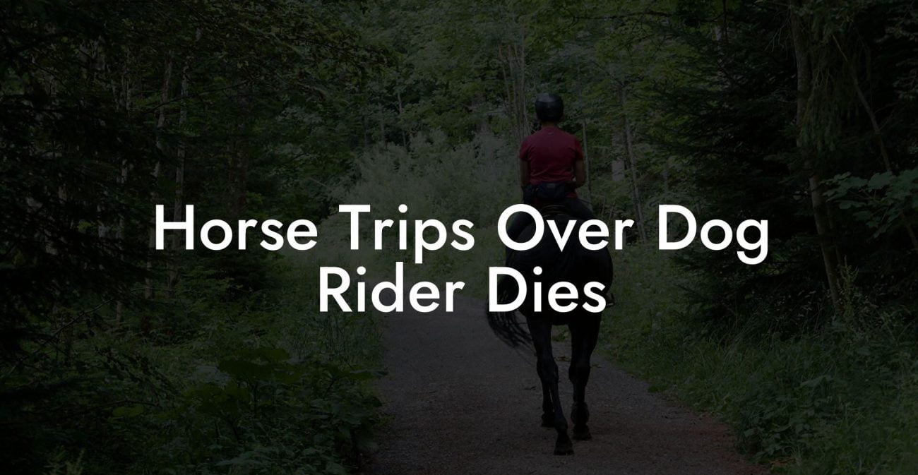 Horse Trips Over Dog Rider Dies