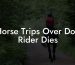 Horse Trips Over Dog Rider Dies