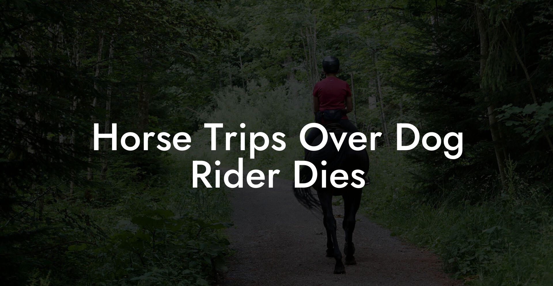 Horse Trips Over Dog Rider Dies